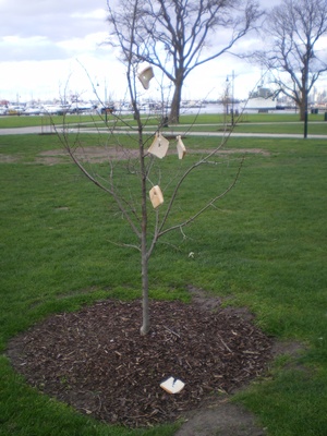 Bread Tree