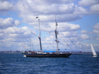 Young Endeavour at Anchor