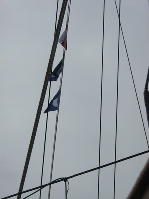 Signal Flags